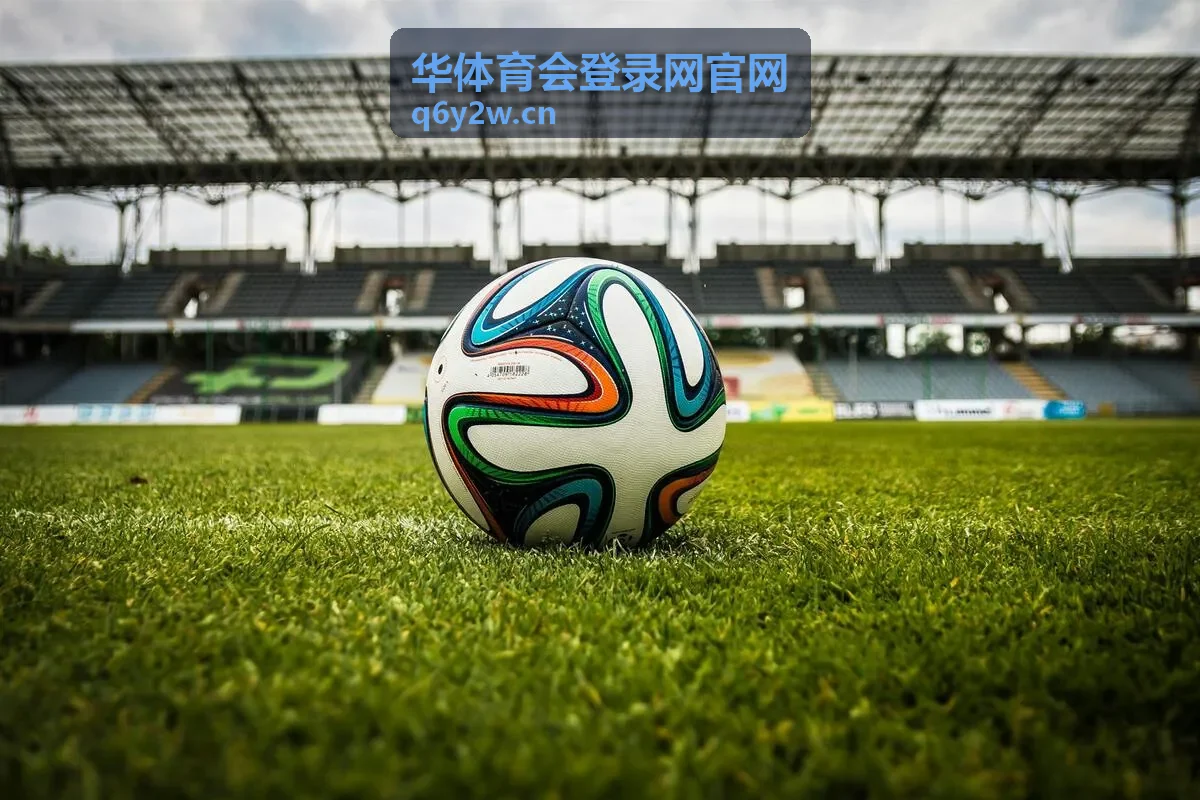 华体育会登录网官网任务列表与进度记录界面示意