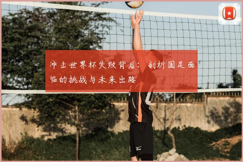 冲击世界杯失败背后：剖析国足面临的挑战与未来出路