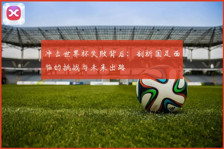 冲击世界杯失败背后：剖析国足面临的挑战与未来出路