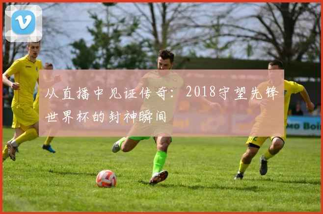从直播中见证传奇：2018守望先锋世界杯的封神瞬间