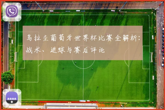 乌拉圭葡萄牙世界杯比赛全解析:战术、进球与赛后评论