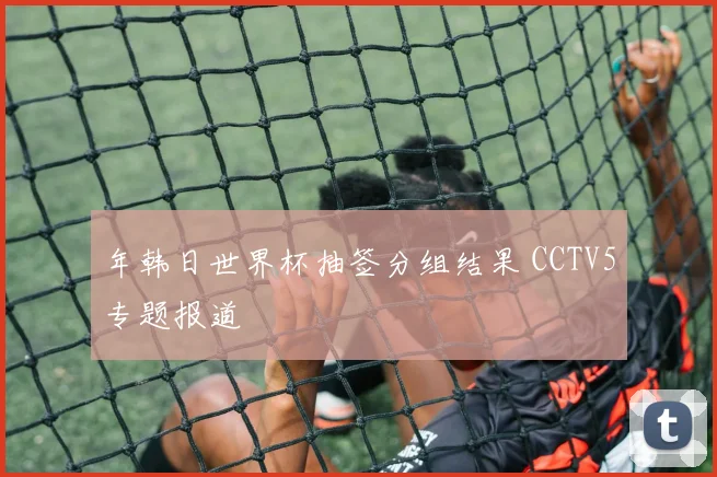 年韩日世界杯抽签分组结果 CCTV5专题报道