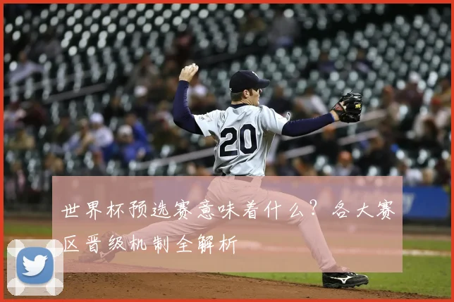 世界杯预选赛意味着什么?各大赛区晋级机制全解析